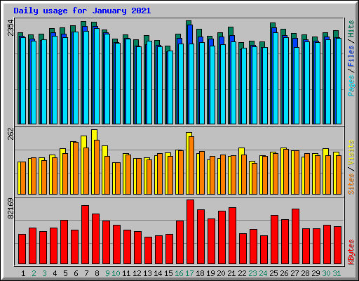 Daily usage for January 2021