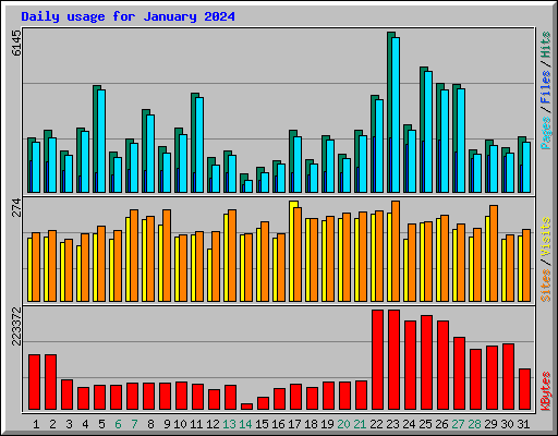 Daily usage for January 2024