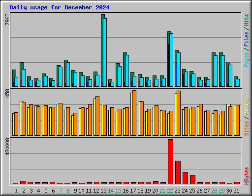 Daily usage for December 2024