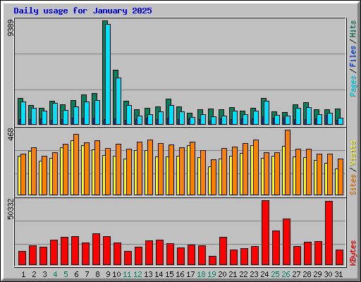 Daily usage for January 2025
