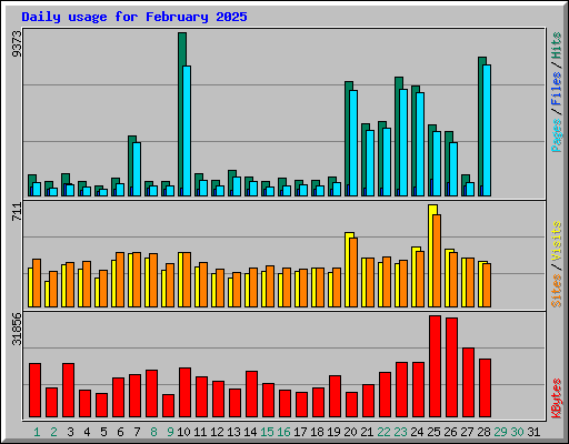 Daily usage for February 2025