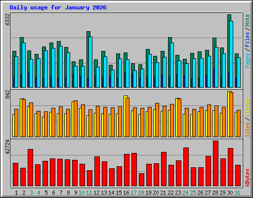 Daily usage for January 2026