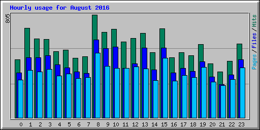 Hourly usage for August 2016