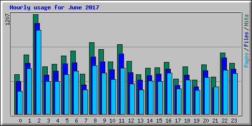 Hourly usage for June 2017