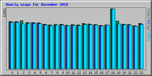 Hourly usage for December 2018
