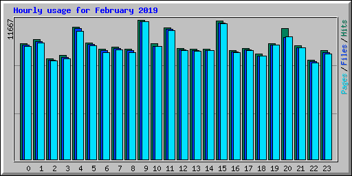 Hourly usage for February 2019