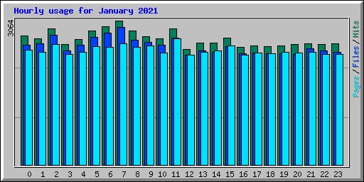 Hourly usage for January 2021