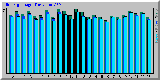 Hourly usage for June 2021