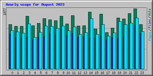 Hourly usage for August 2023