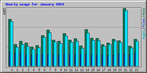 Hourly usage for January 2024