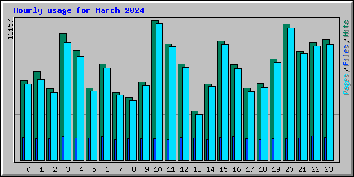 Hourly usage for March 2024