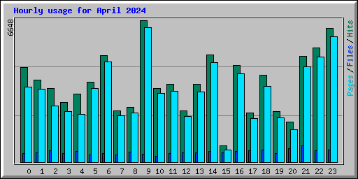 Hourly usage for April 2024