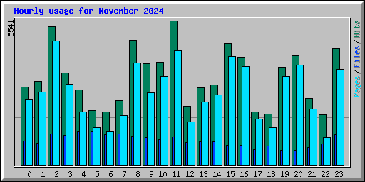 Hourly usage for November 2024