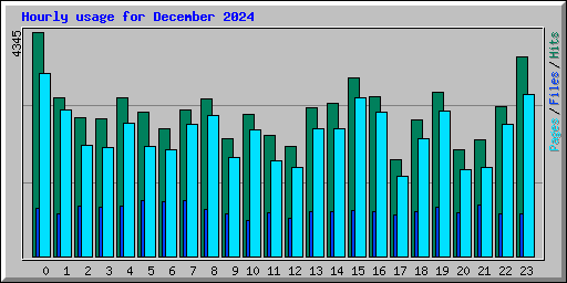 Hourly usage for December 2024