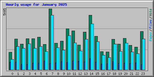 Hourly usage for January 2025