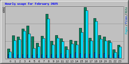 Hourly usage for February 2025