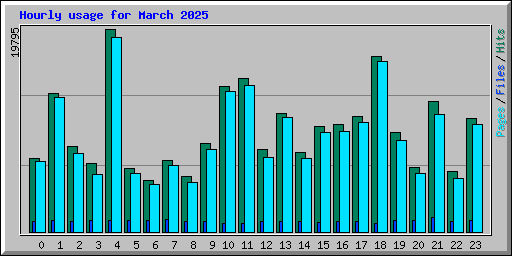 Hourly usage for March 2025