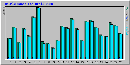 Hourly usage for April 2025