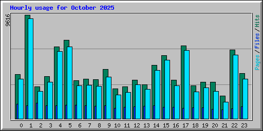 Hourly usage for October 2025