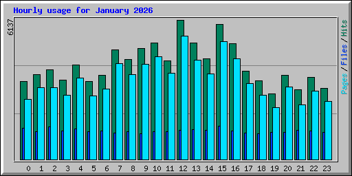 Hourly usage for January 2026
