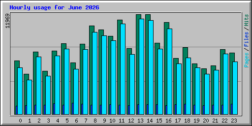 Hourly usage for June 2026