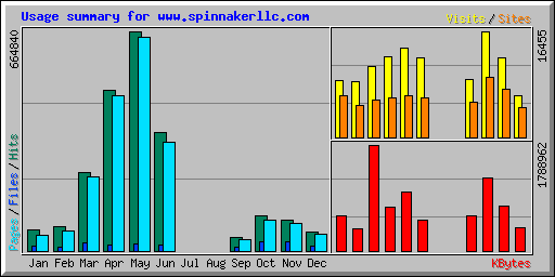 Usage summary for www.spinnakerllc.com